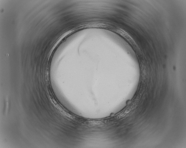 X0000068270852200605191826