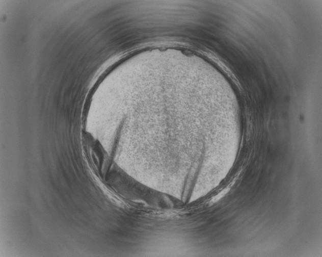 X0000068270853200605191826