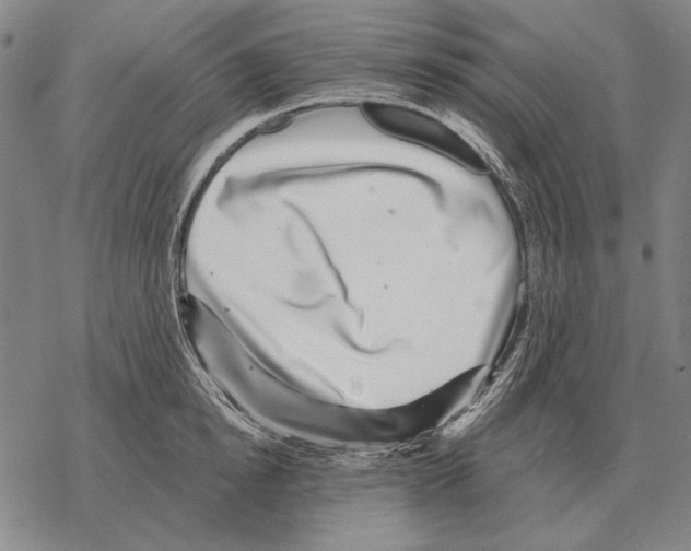 X0000068270854200605191826