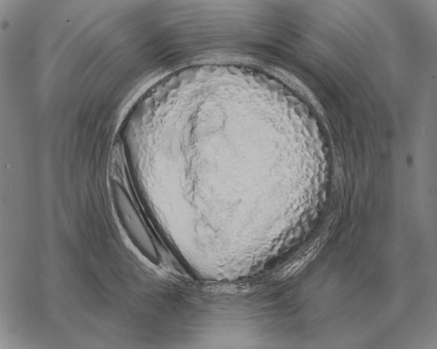 X0000068270855200605191826