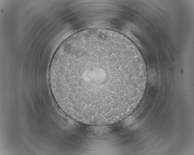 X0000068270856200605191826