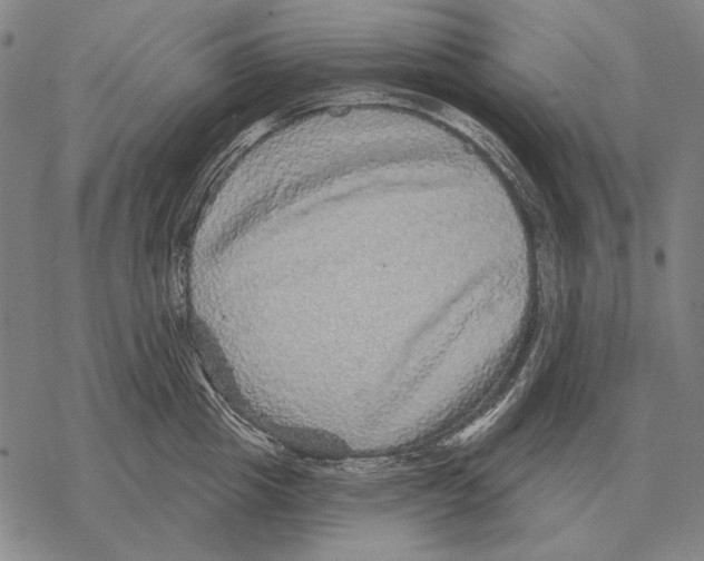 X0000068270857200605191826