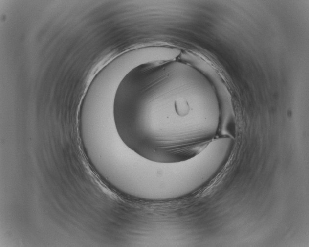 X0000068270858200605191826