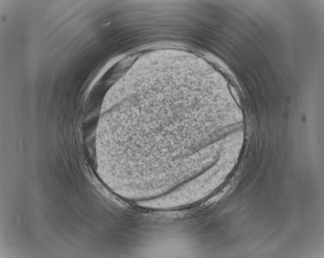 X0000068270860200605191826