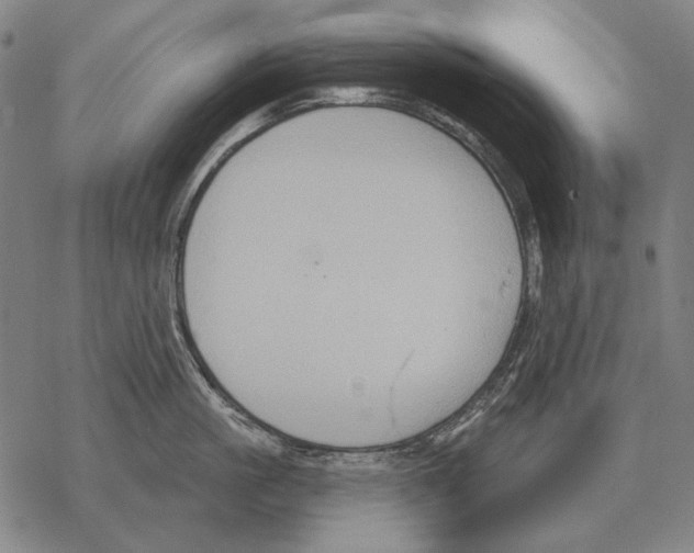 X0000068270861200605191826