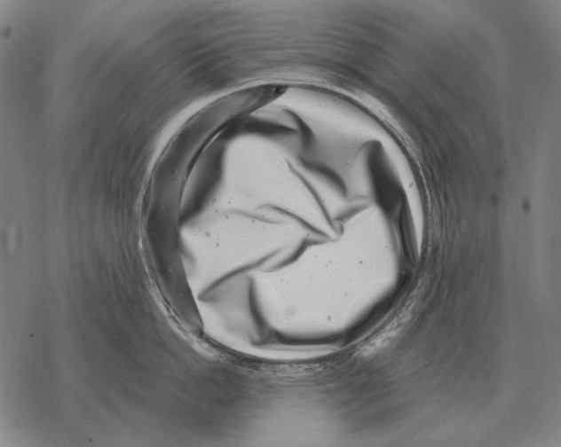 X0000068270862200605191826