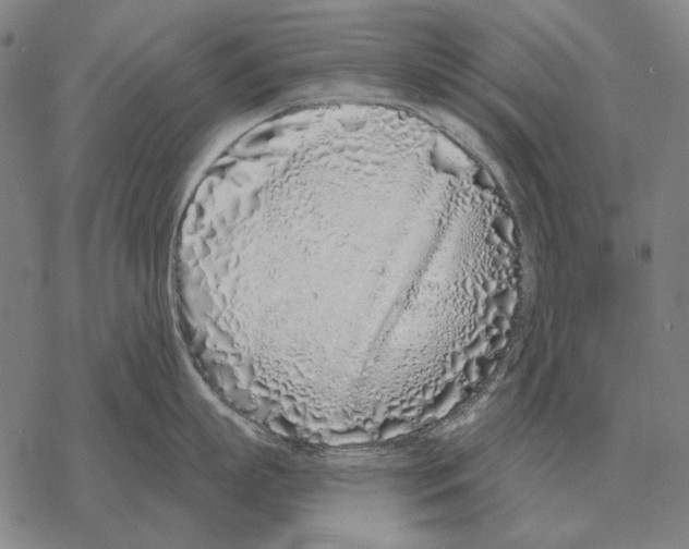 X0000068270863200605191826