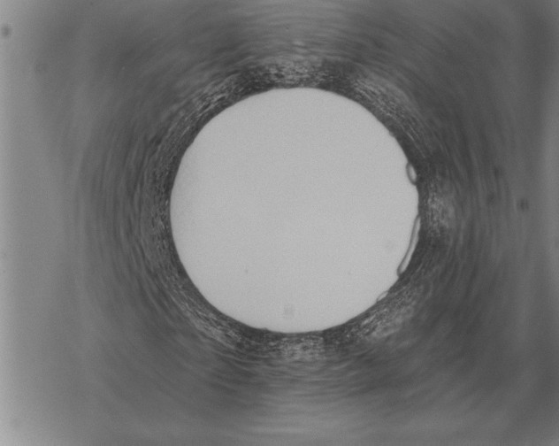 X0000068270865200605191825