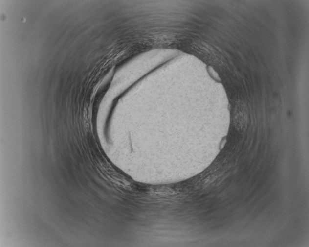 X0000068270866200605191825