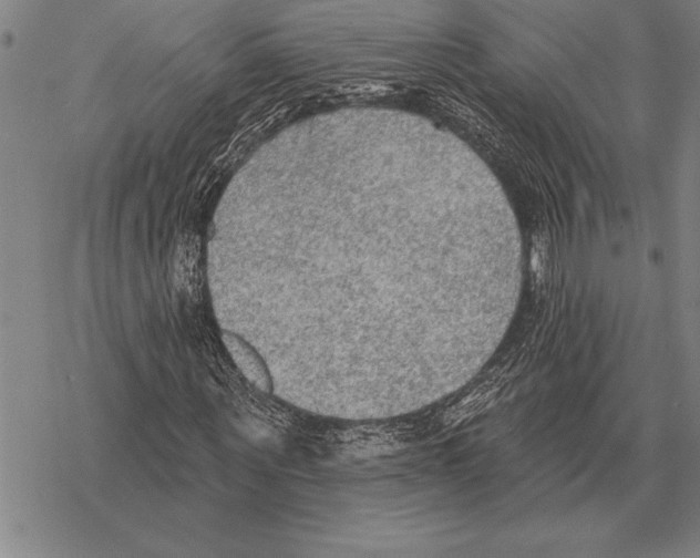 X0000068270867200605191825