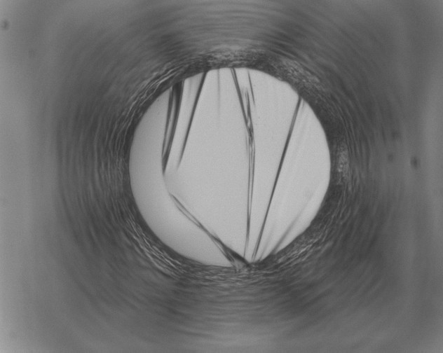 X0000068270868200605191825