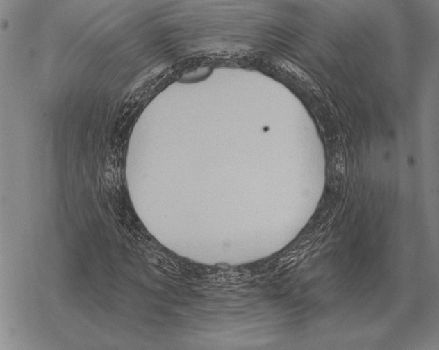 X0000068270869200605191825