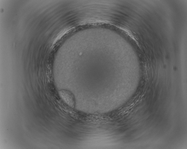 X0000068270871200605191825