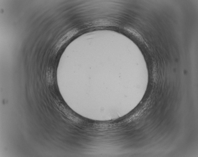 X0000068270873200605191825