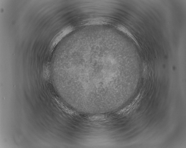 X0000068270874200605191825