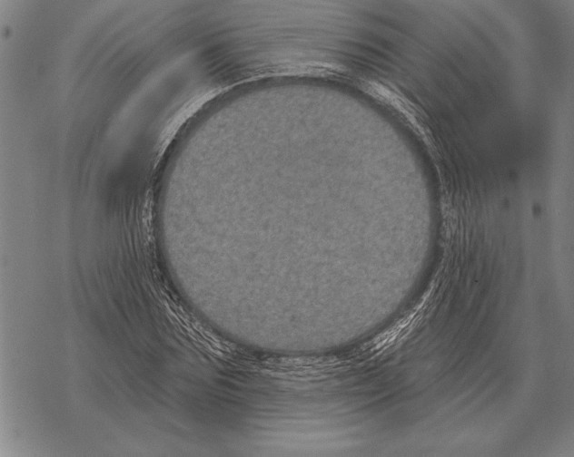 X0000068270875200605191825