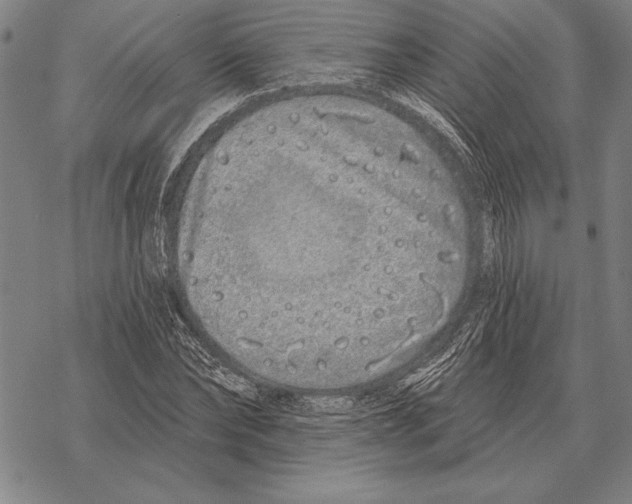 X0000068270878200605191825