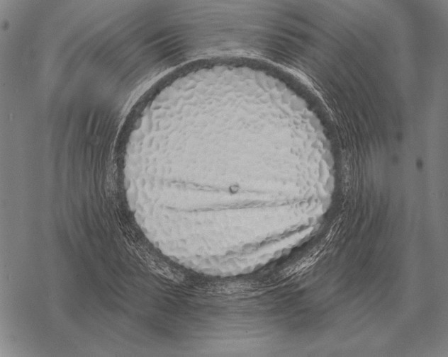 X0000068270879200605191825