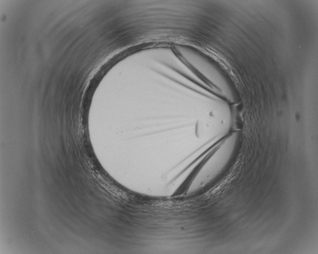 X0000068270880200605191825