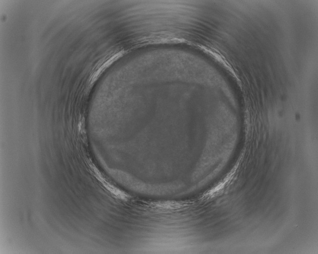 X0000068270881200605191825