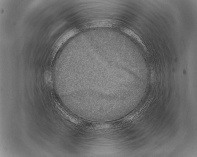 X0000068270882200605191825