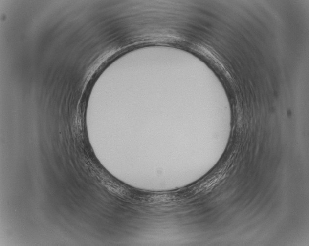 X0000068270883200605191825