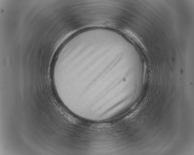 X0000068270884200605191825