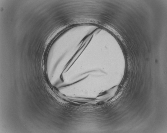 X0000068270885200605191825