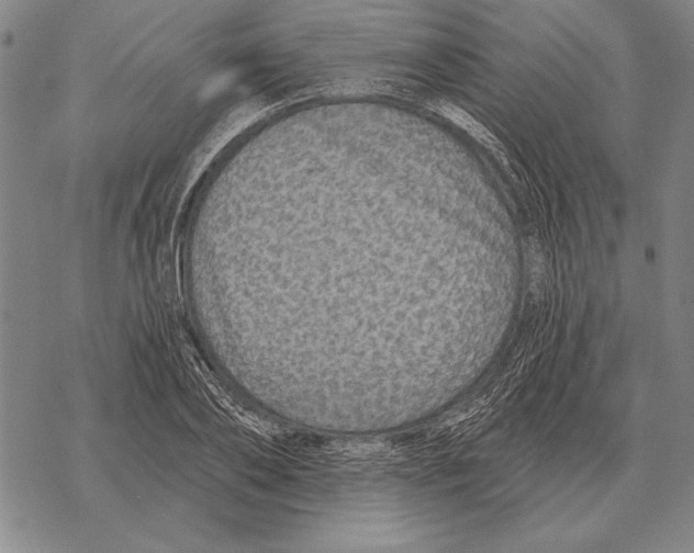 X0000068270886200605191825