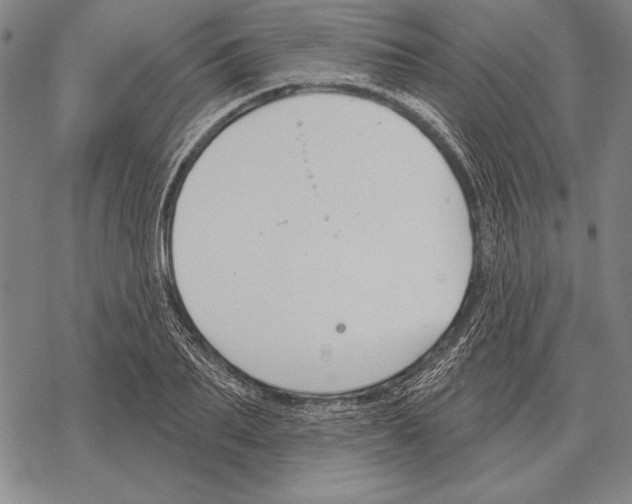 X0000068270887200605191825