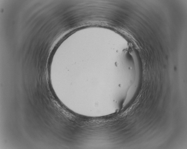 X0000068270888200605191825