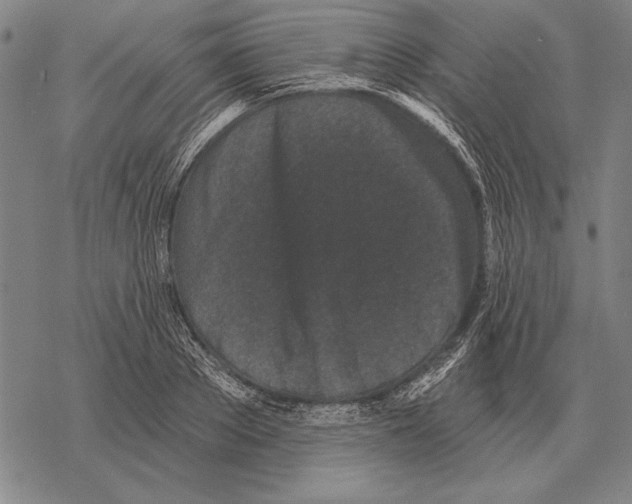 X0000068270889200605191825