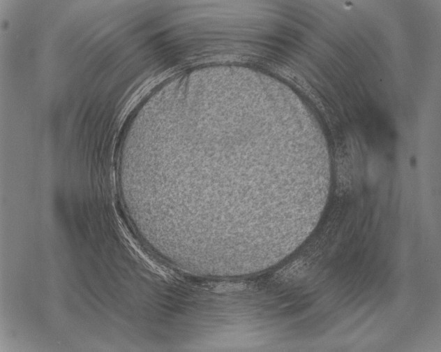 X0000068270890200605191825