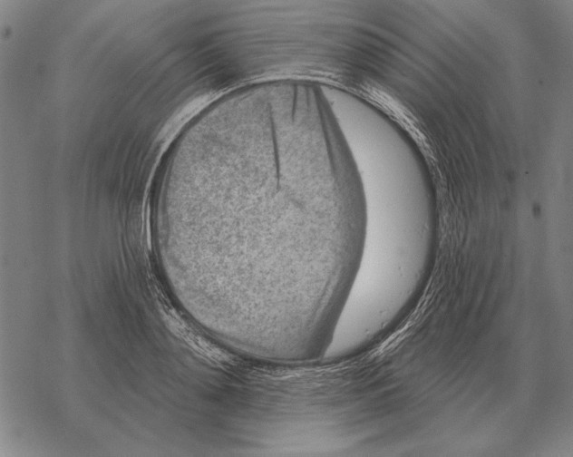 X0000068270892200605191825