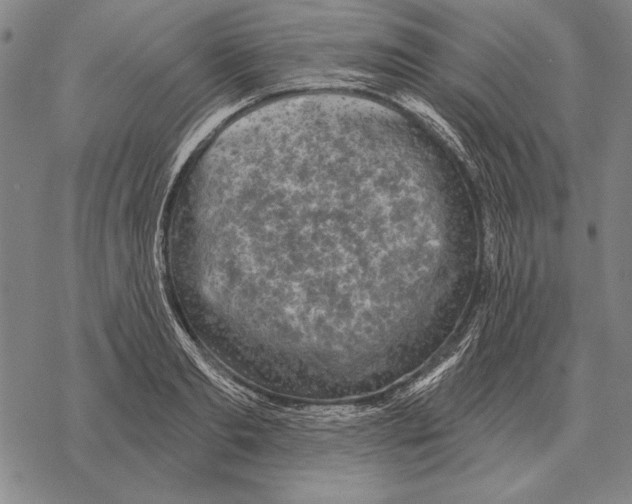 X0000068270893200605191825