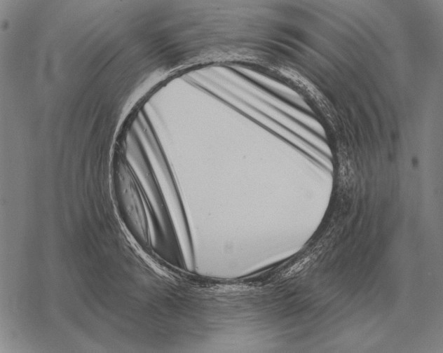 X0000068270894200605191825