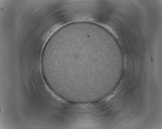 X0000068270895200605191825