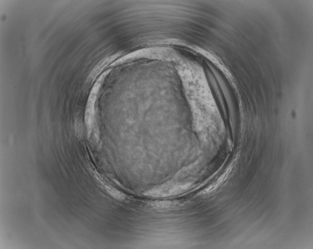 X0000068270897200605191825