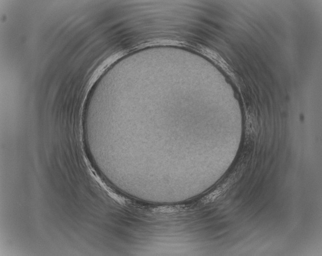 X0000068270898200605191825