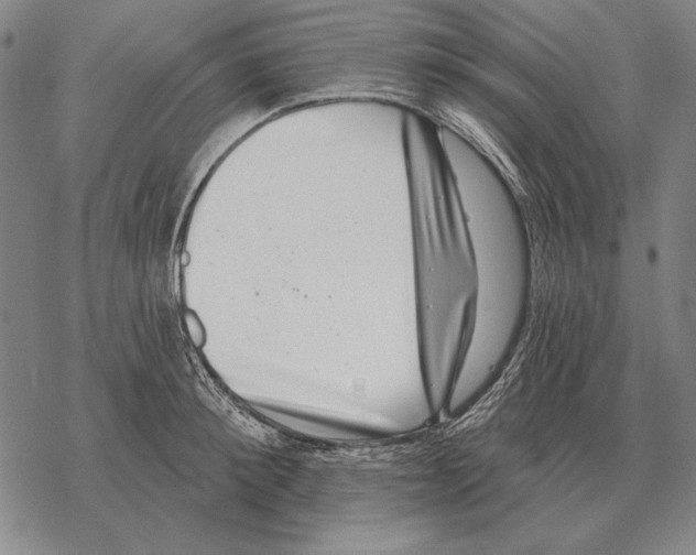 X0000068270900200605191825