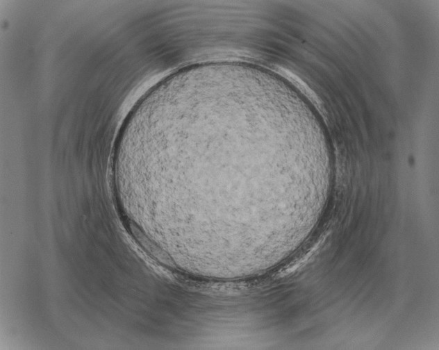 X0000068270901200605191825