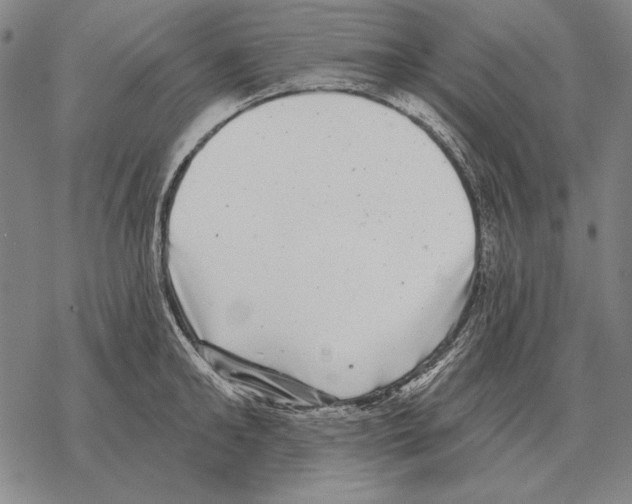 X0000068270902200605191825