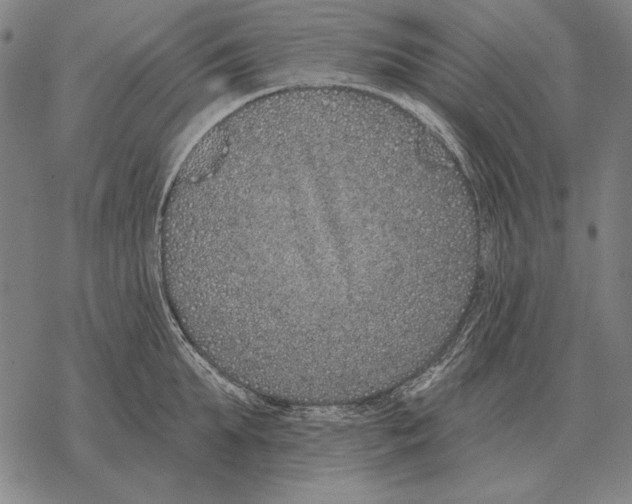 X0000068270903200605191825