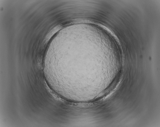 X0000068270905200605191825