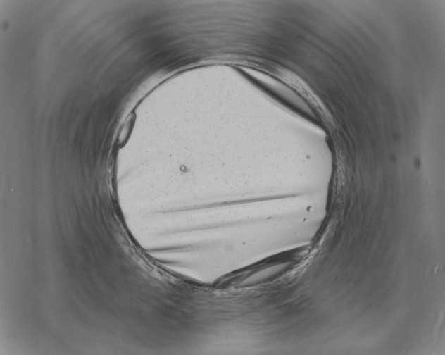 X0000068270908200605191825