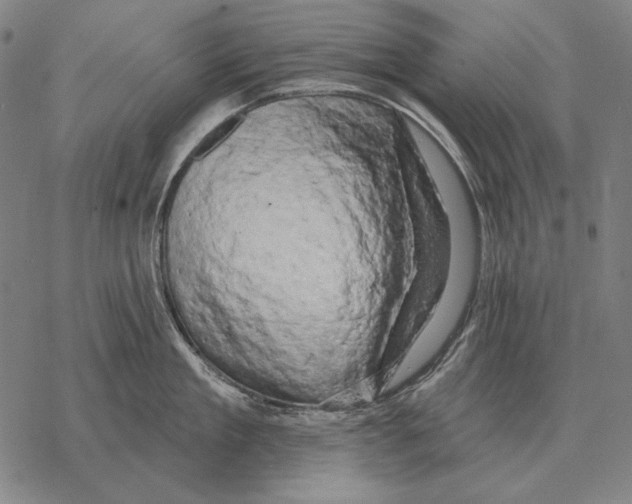 X0000068270909200605191825