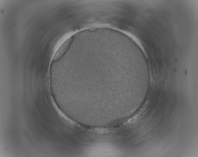 X0000068270911200605191825