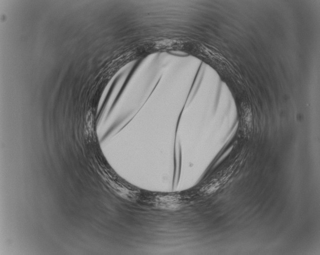 X0000068270914200605191824