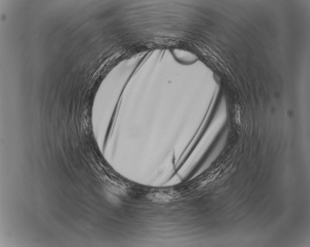 X0000068270915200605191824