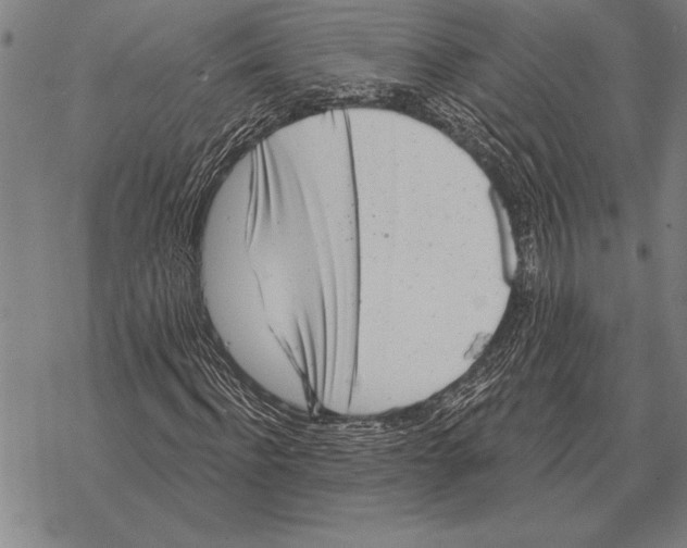 X0000068270916200605191824